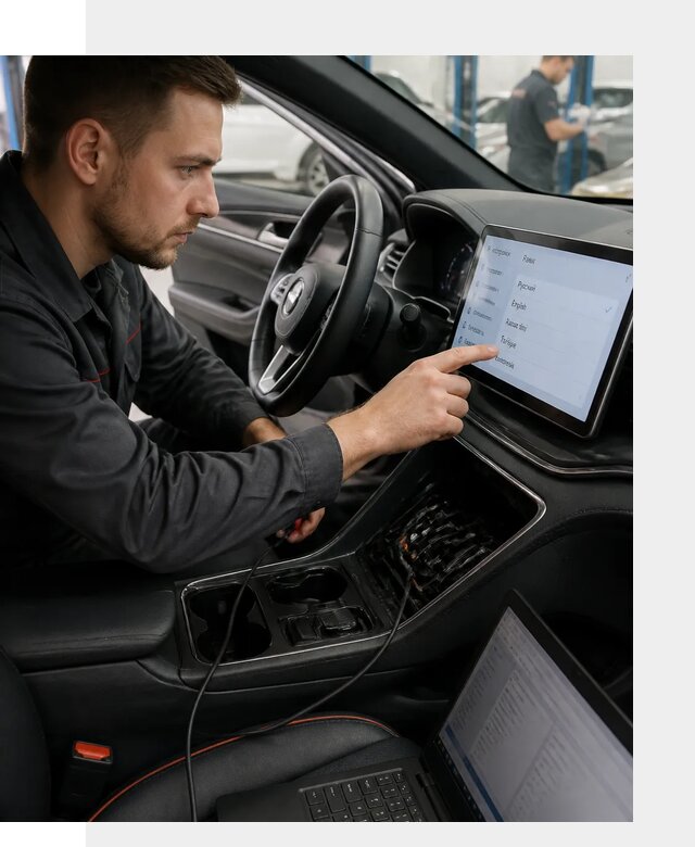 Профессиональная русификация BYD SONG Plus в Кронштадте